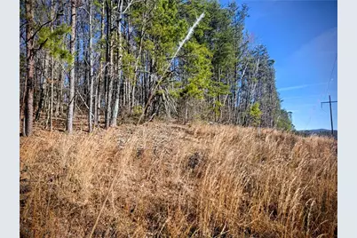 Tbd Cowart Mountain Tract 3 Road, Jasper, GA 30143 - Photo 1