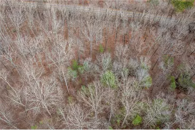 Tbd Cowart Mountain Tract 3 Road, Jasper, GA 30143 - Photo 18