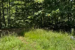 220 Friendship Trl, Talking Rock, GA 30175 - Photo 12