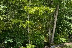 220 Friendship Trl, Talking Rock, GA 30175 - Photo 20