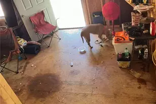 220 Friendship Trl, Talking Rock, GA 30175 - Photo 14