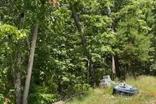 220 Friendship Trl, Talking Rock, GA 30175 - Photo 18