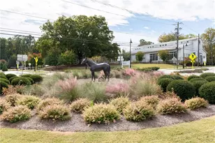 106 Laurel Brk Ln, Canton, GA 30115 - Photo 22