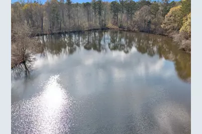 481 Turner Road, Concord, GA 30206 - Photo 40