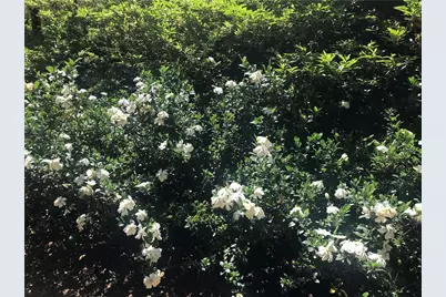 245 Ridge Point Court, Alpharetta, GA 30022 - Photo 44