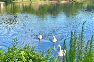 1846 Dorminey Ct, Lawrenceville, GA 30043 - Photo 68