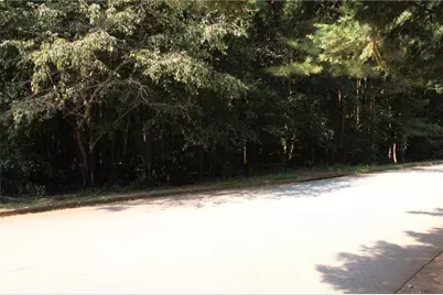 8747 Camron Drive, Winston, GA 30187 - Photo 10