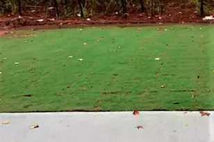 1225 Apple Blossom Dr, Cumming, GA 30041 - Photo 2