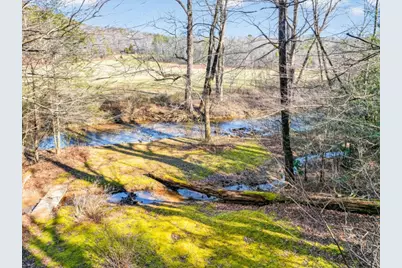 175 Laralynn Lane, Clarkesville, GA 30523 - Photo 64