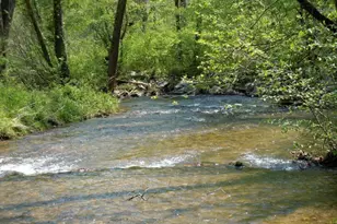 175 Laralynn Ln, Clarkesville, GA 30523 - Photo 64