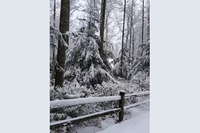 175 Laralynn Lane, Clarkesville, GA 30523 - Photo 72