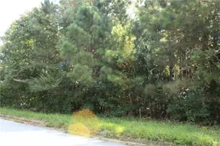 7718 Cheviot Dr, Winston, GA 30187 - Photo 14