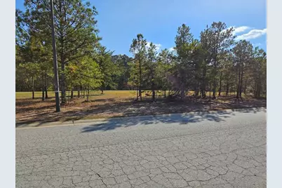 103 Redding Drive, Bremen, GA 30110 - Photo 4