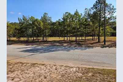 103 Redding Drive, Bremen, GA 30110 - Photo 2