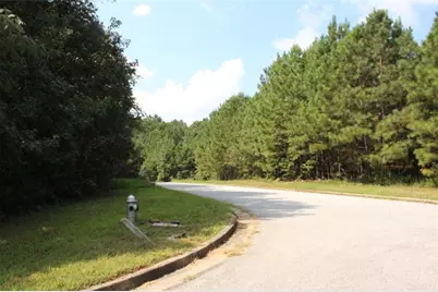 7699 Cheviot Drive, Winston, GA 30187 - Photo 10