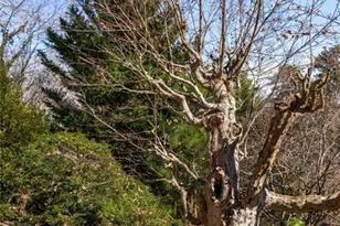 120 Overlook Dr, Gainesville, GA 30506 - Photo 48