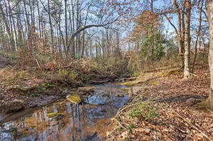 314 Wooded Glen Ln, Carrollton, GA 30117 - Photo 50