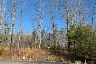 426 Rockhouse Xing, Demorest, GA 30535 - Photo 14