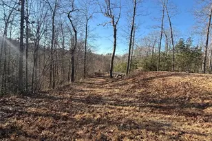 426 Rockhouse Xing, Demorest, GA 30535 - Photo 2