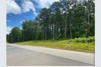 0 Tommy Lee Cook Road, Palmetto, GA 30268 - Photo 1