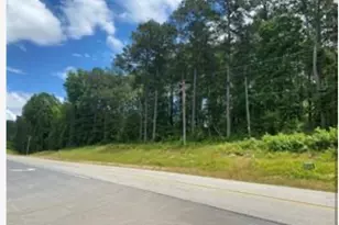 0 Tommy Lee Cook Rd, Palmetto, GA 30268 - Photo 1