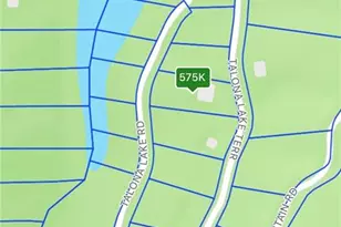 201 Talona Lake Terrace, Ellijay, GA 30536 - Photo 56