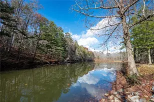 201 Talona Lake Terrace, Ellijay, GA 30536 - Photo 42