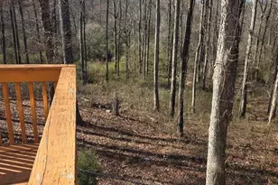 465 Young James Cir, Stockbridge, GA 30281 - Photo 36