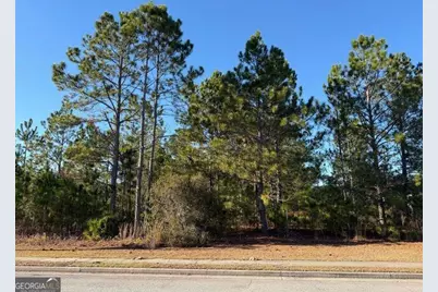 0 Weeping Willow Drive, Hinesville, GA 31313 - Photo 1