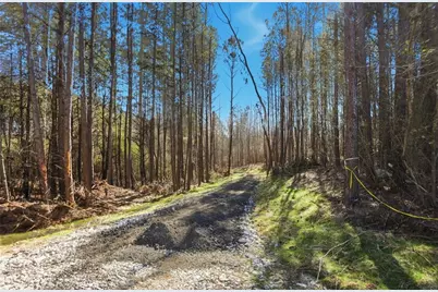 5.419 Acres On Pete Path, Dallas, GA 30157 - Photo 2