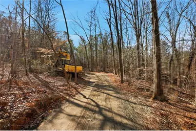 5.419 Acres On Pete Path, Dallas, GA 30157 - Photo 4