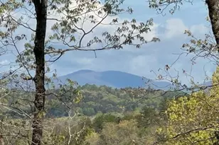 Tract1 Panorama, Dahlonega, GA 30533 - Photo 1