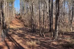 5095 N Helton Rd, Winston, GA 30187 - Photo 4