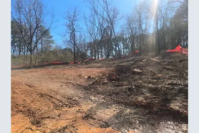 215 Winterberry Way, Roswell, GA 30075 - Photo 2