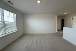 309 Amsterdam Way, Hampton, GA 30228 - Photo 20