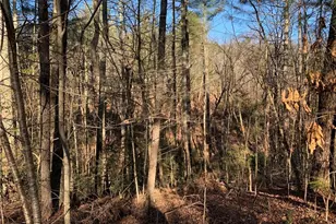 240 N Sanderlin Mtn Dr, Jasper, GA 30143 - Photo 1