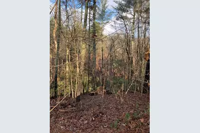 240 N Sanderlin Mtn Drive, Jasper, GA 30143 - Photo 2