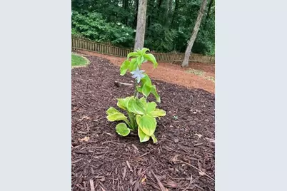 2915 Brookwater Drive, Cumming, GA 30041 - Photo 42