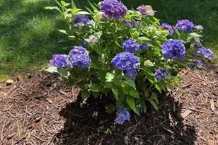 2915 Brookwater Dr, Cumming, GA 30041 - Photo 36