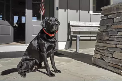 72 Buckeye Ridge, Newnan, GA 30263 - Photo 80