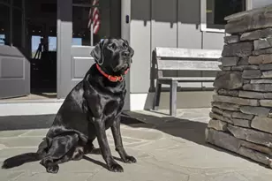 72 Buckeye Ridge, Newnan, GA 30263 - Photo 80