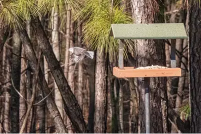 152 Summit Trail, Dallas, GA 30132 - Photo 36