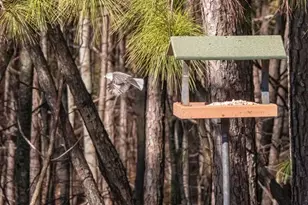 152 Summit Trail, Dallas, GA 30132 - Photo 36