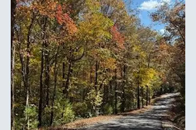 Lot 9 Peter Knob Road, Blue Ridge, GA 30513 - Photo 1