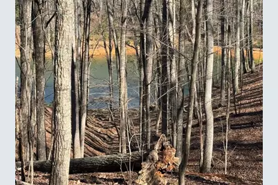 70 Geyser Court, Ranger, GA 30734 - Photo 4