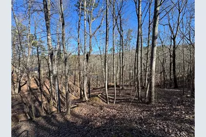 70 Geyser Court, Ranger, GA 30734 - Photo 2