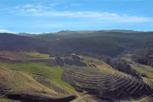 196 Grayson Point, Blue Ridge, GA 30513 - Photo 34