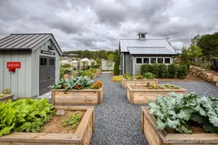 219 Belmont Pk Dr, Canton, GA 30115 - Photo 80