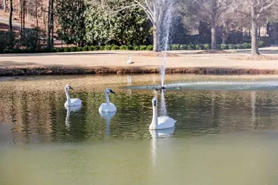 25 The Greenway, Woodstock, GA 30188 - Photo 108