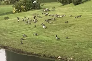 2382 Merrymount Dr, Suwanee, GA 30024 - Photo 84